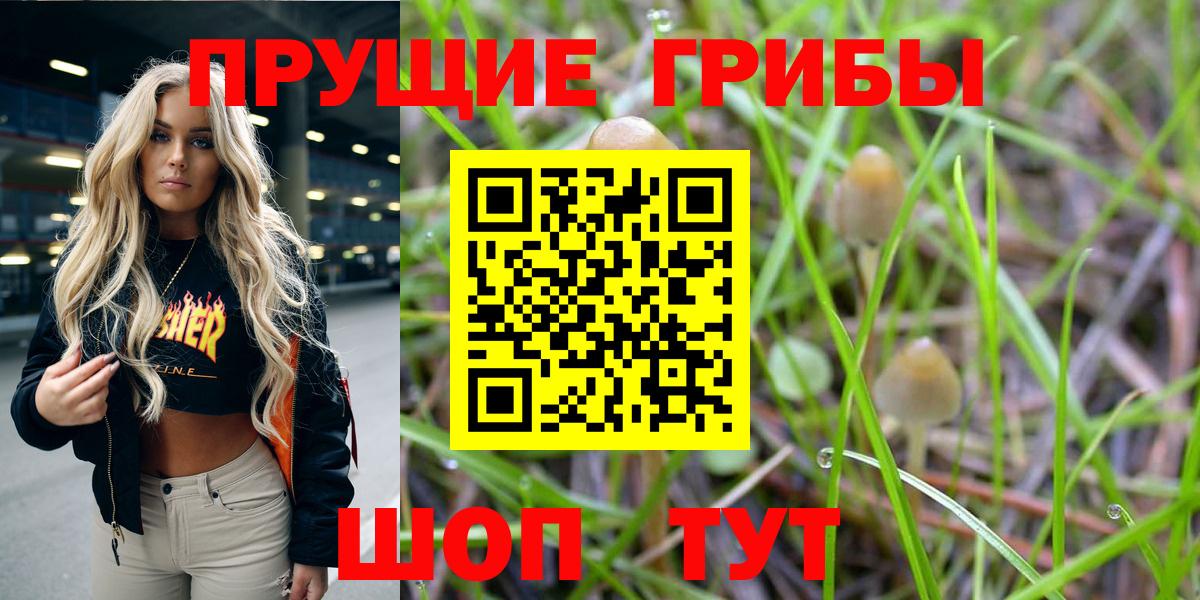 Галлюциногенные грибы мухоморы Кызыл