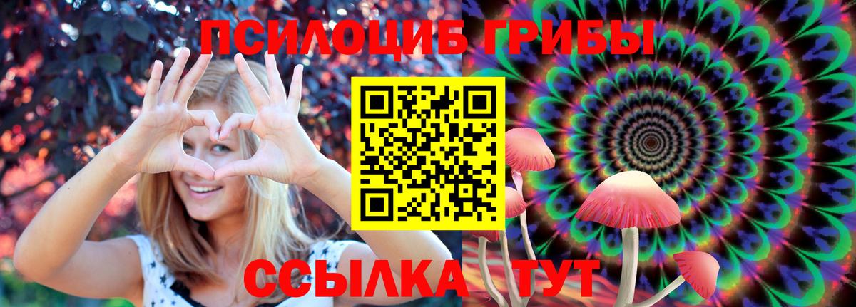 Галлюциногенные грибы мицелий  Вход с VPN  Кызыл  Псилоцибиновые грибы GOLDEN TEACHER 